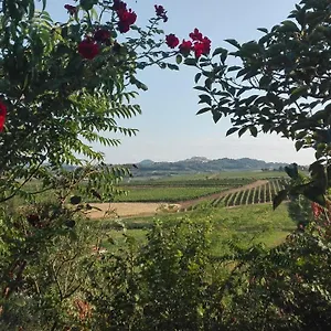  Alloggio per agriturismo La Chiesina Italia